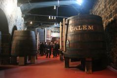 Visiting Porto Cálem cellars