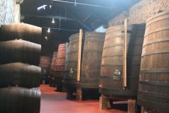 Visiting Porto Cálem cellars